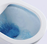 ROSA BACK TO WALL TOILET - RIMLESS